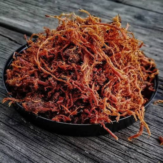 IDY IRACHY(Dry Beef)